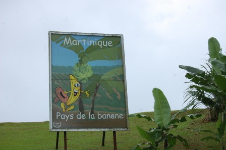 Le_nord_de_la_Martinique_-_des_bananiers_partout.JPG
